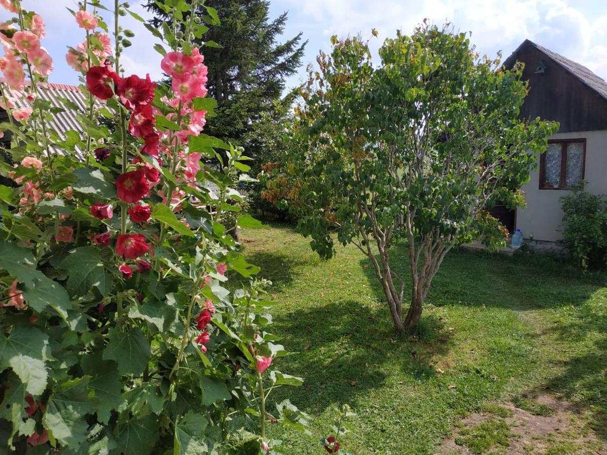 Kovcica Rooms Žabljak Zewnętrze zdjęcie