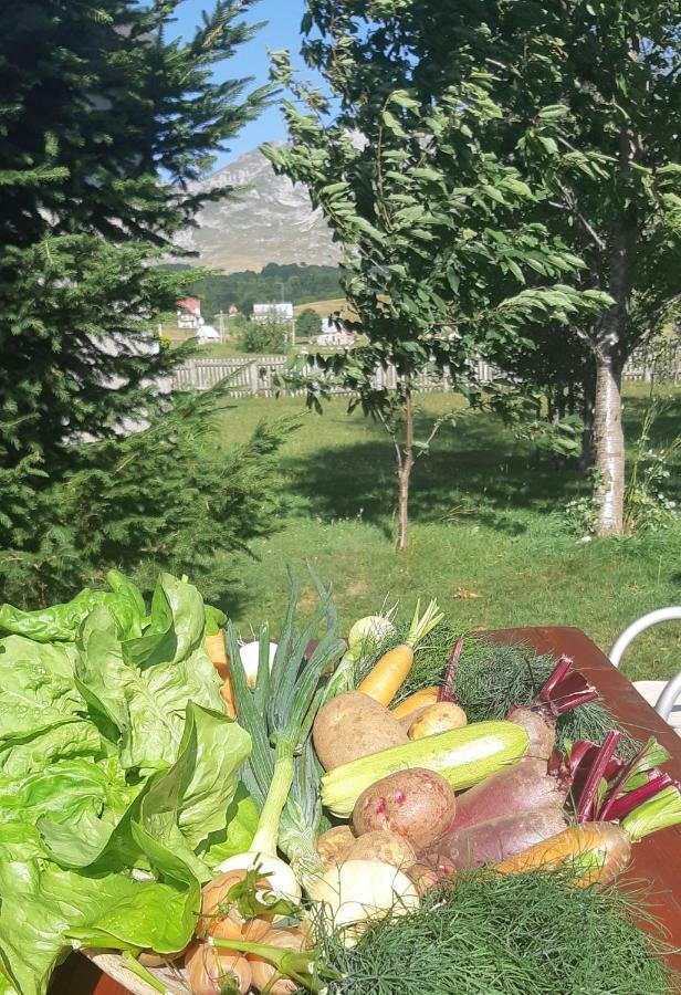 Kovcica Rooms Žabljak Zewnętrze zdjęcie